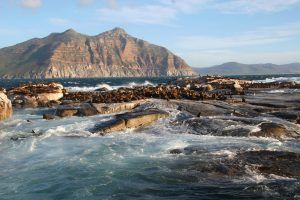 Lee más sobre el artículo Amazing Tidal Pools in Cape Town: A Local’s Guide