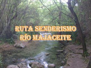 Lee más sobre el artículo Río Majaceite