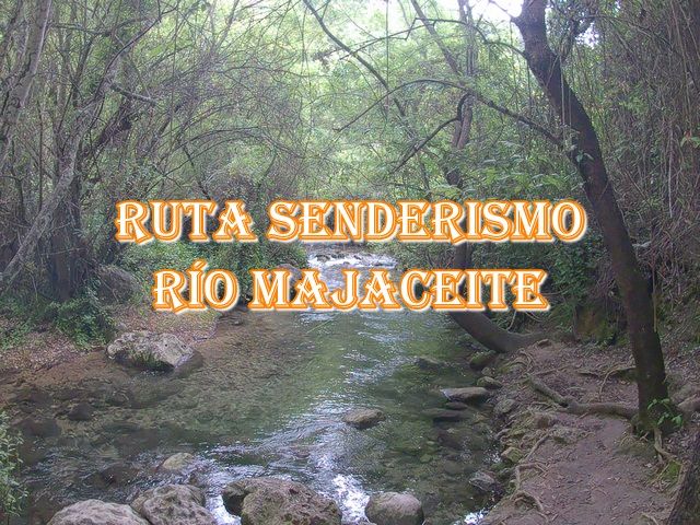 🥾 sendero Río Majaceite 🥾 sierra de cádiz