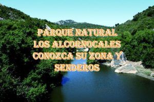 Lee más sobre el artículo Parque Natural Los Alcornocales