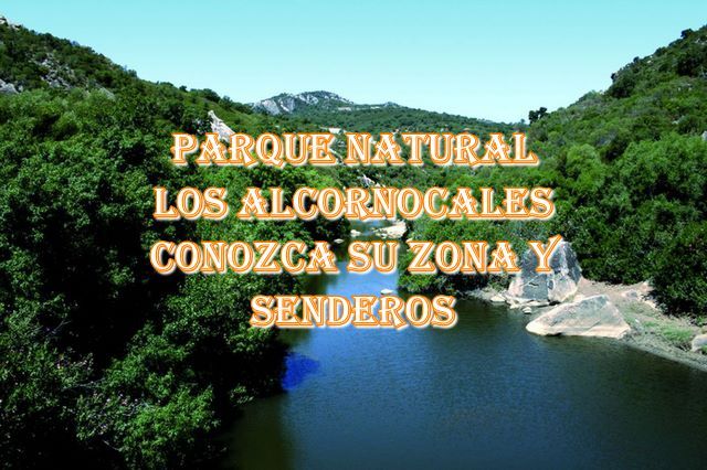 🌲 Parque Natural Los Alcornocales 🌲 Los mayores secretos y trucos para sus senderos
