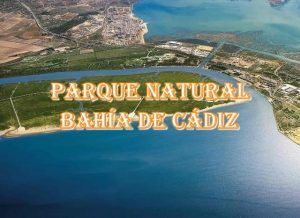 Lee más sobre el artículo Parque Natural Bahía de Cádiz